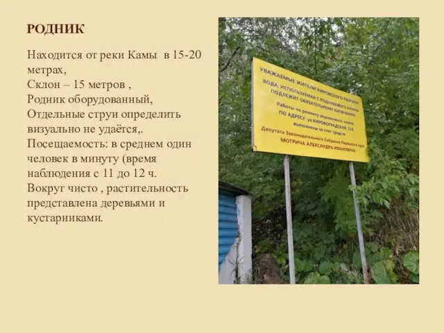 РОДНИК Находится от реки Камы в 15-20 метрах, Склон – 15