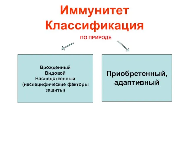 Иммунитет Классификация Врожденный Видовой Наследственный (неспецифические факторы защиты) Приобретенный, адаптивный ПО ПРИРОДЕ