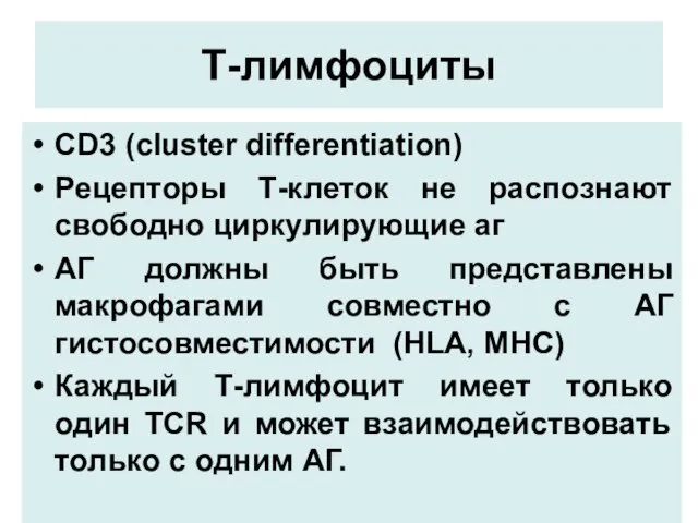 Т-лимфоциты СD3 (cluster differentiation) Рецепторы Т-клеток не распознают свободно циркулирующие аг