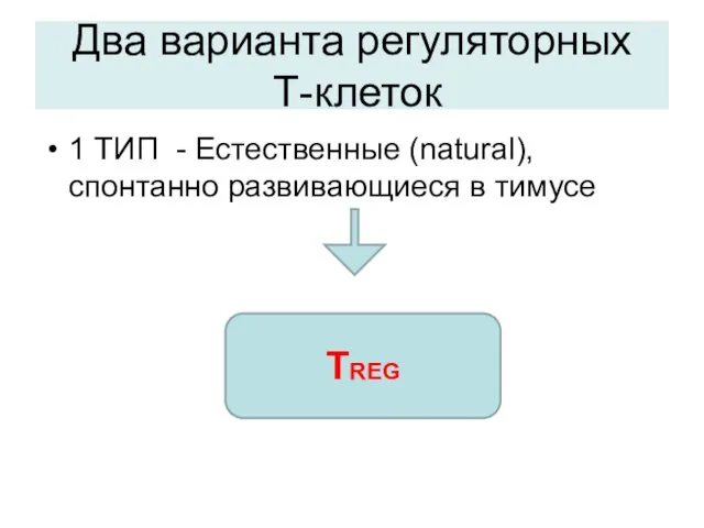 Два варианта регуляторных Т-клеток 1 ТИП - Естественные (natural), спонтанно развивающиеся в тимусе ТREG