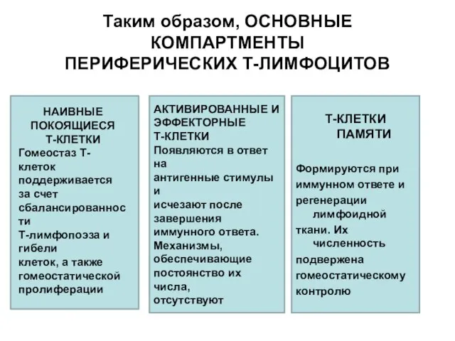 Таким образом, ОСНОВНЫЕ КОМПАРТМЕНТЫ ПЕРИФЕРИЧЕСКИХ Т-ЛИМФОЦИТОВ Т-КЛЕТКИ ПАМЯТИ Формируются при иммунном