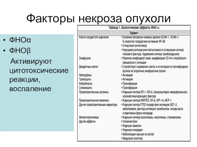 Факторы некроза опухоли ФНОα ФНОβ Активируют цитотоксические реакции, воспаление