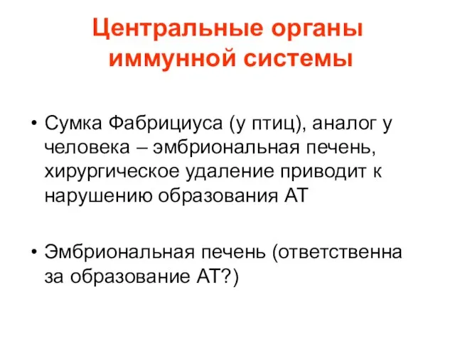 Центральные органы иммунной системы Сумка Фабрициуса (у птиц), аналог у человека