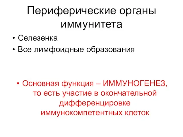 Периферические органы иммунитета Селезенка Все лимфоидные образования Основная функция – ИММУНОГЕНЕЗ,