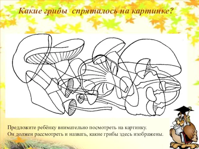 Какие грибы спряталось на картинке? Предложите ребёнку внимательно посмотреть на картинку.