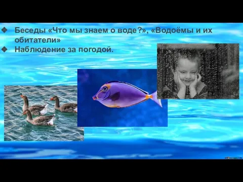 Беседы «Что мы знаем о воде?», «Водоёмы и их обитатели» Наблюдение за погодой.