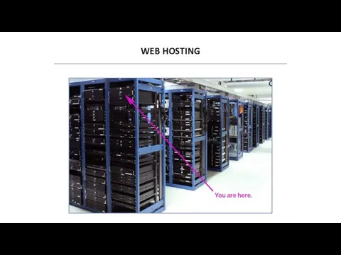 WEB HOSTING