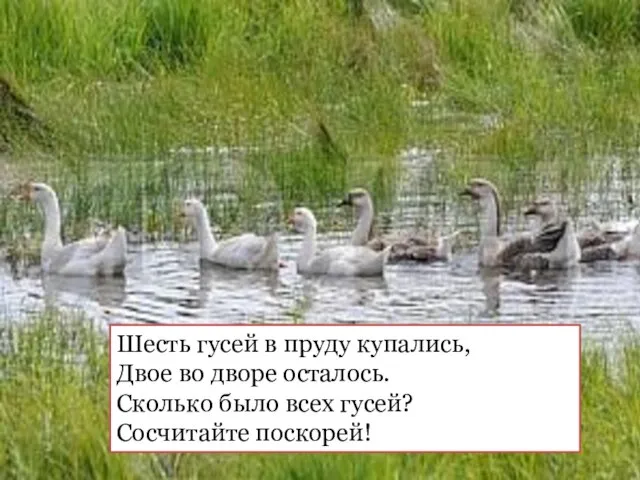 Шесть гусей в пруду купались, Двое во дворе осталось. Сколько было всех гусей? Сосчитайте поскорей!