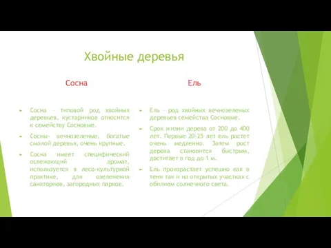 Хвойные деревья Сосна Сосна – типовой род хвойных деревьев, кустарников относится