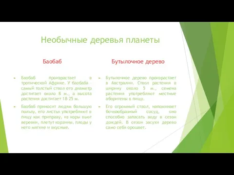 Необычные деревья планеты Баобаб Баобаб произрастает в тропической Африке. У баобаба