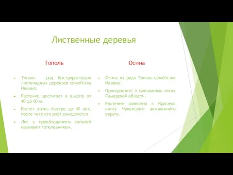 Лиственные деревья Тополь Тополь – род быстрорастущих листопадных деревьев семейства Ивовых.