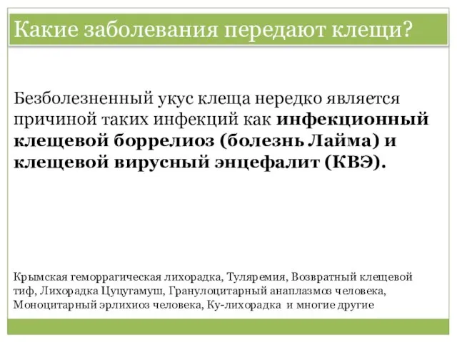 Безболезненный укус клеща нередко является причиной таких инфекций как инфекционный клещевой