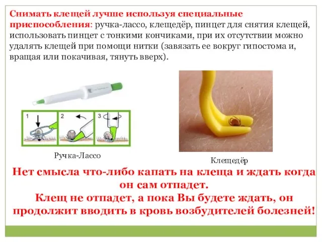 Снимать клещей лучше используя специальные приспособления: ручка-лассо, клещедёр, пинцет для снятия