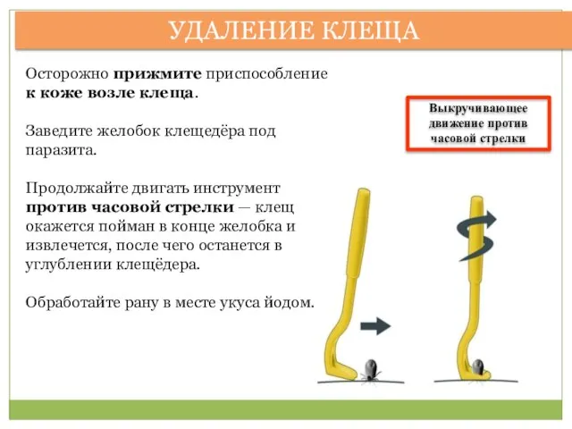 УДАЛЕНИЕ КЛЕЩА Осторожно прижмите приспособление к коже возле клеща. Заведите желобок