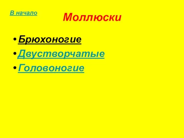 Моллюски Брюхоногие Двустворчатые Головоногие В начало