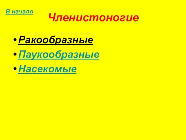 Членистоногие Ракообразные Паукообразные Насекомые В начало