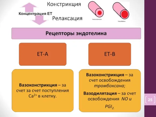 Концентрация ЕТ