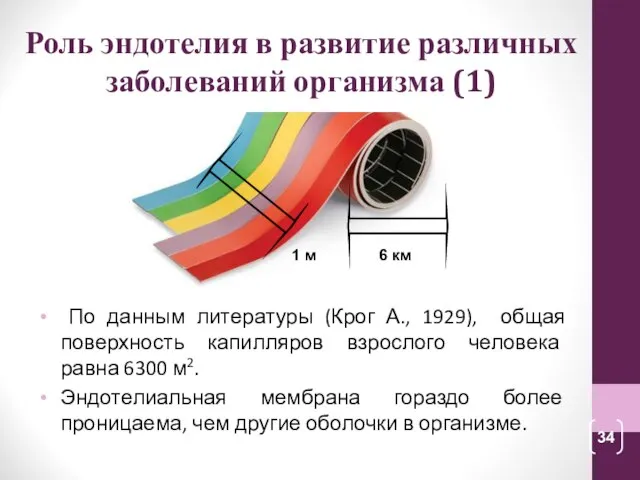 Роль эндотелия в развитие различных заболеваний организма (1) По данным литературы