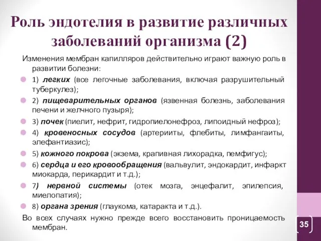 Роль эндотелия в развитие различных заболеваний организма (2) Изменения мембран капилляров