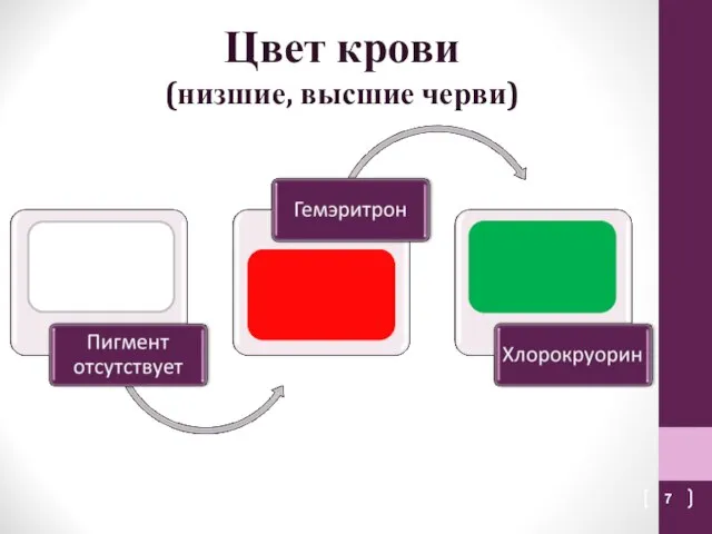 Цвет крови (низшие, высшие черви)