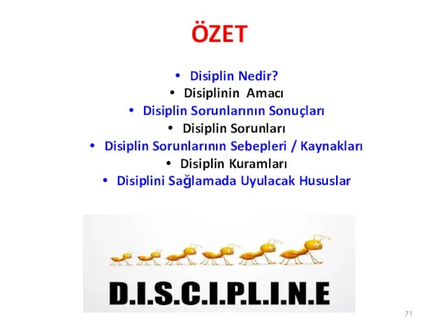 ÖZET Disiplin Nedir? Disiplinin Amacı Disiplin Sorunlarının Sonuçları Disiplin Sorunları Disiplin