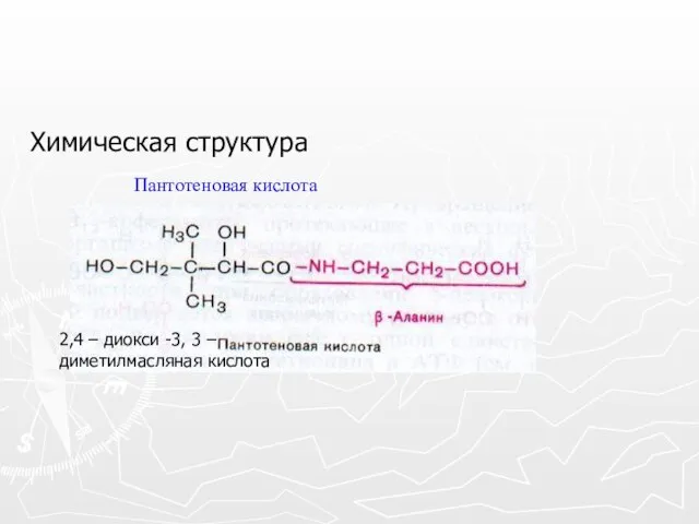 Химическая структура 2,4 – диокси -3, 3 – диметилмасляная кислота Пантотеновая кислота