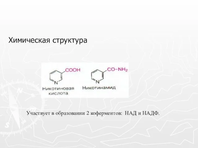 Химическая структура Участвует в образовании 2 коферментов: НАД и НАДФ.