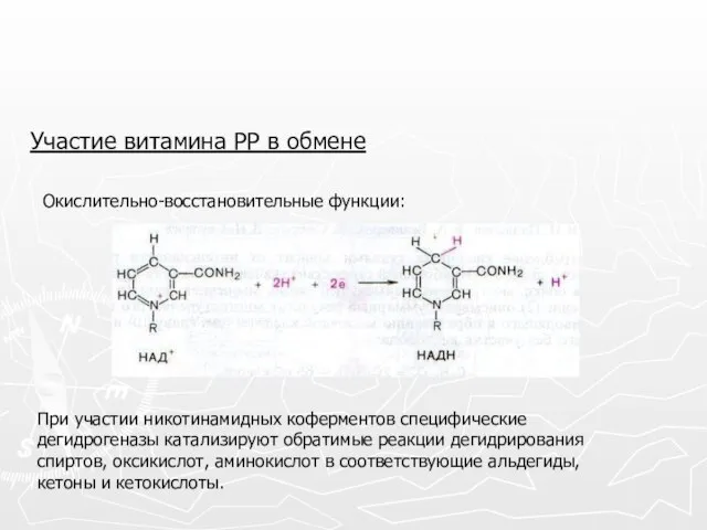 Участие витамина РР в обмене Окислительно-восстановительные функции: При участии никотинамидных коферментов