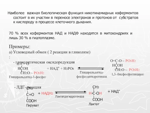 Наиболее важная биологическая функция никотинамидных коферментов состоит в их участии в