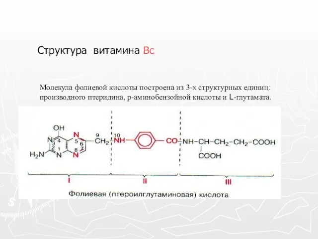 Структура витамина Вс Молекула фолиевой кислоты построена из 3-х структурных единиц: