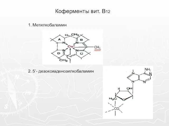 Коферменты вит. В12 1. Метилкобаламин 2. 5’- дезоксиаденозилкобаламин