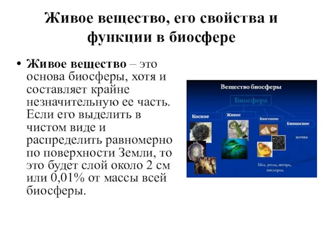 Живое вещество, его свойства и функции в биосфере Живое вещество –