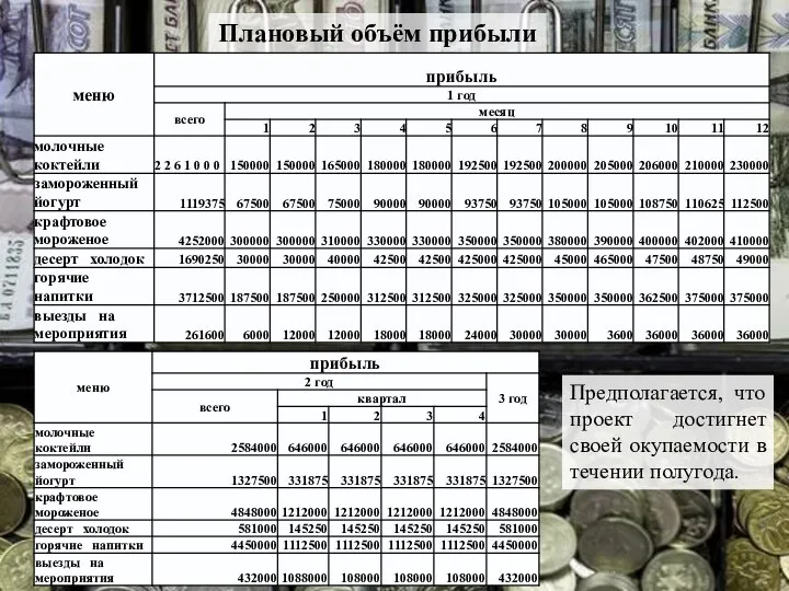 Плановый объём прибыли Предполагается, что проект достигнет своей окупаемости в течении полугода.