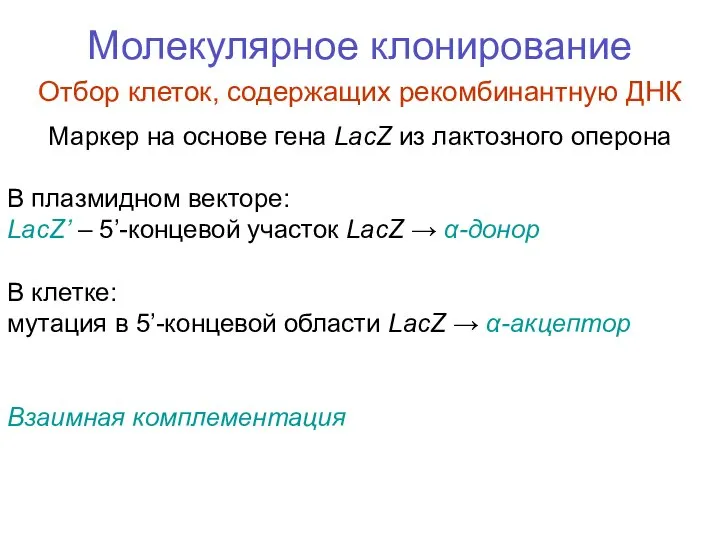 Молекулярное клонирование Отбор клеток, содержащих рекомбинантную ДНК Маркер на основе гена