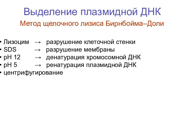 Выделение плазмидной ДНК Метод щелочного лизиса Бирнбойма–Доли Лизоцим → разрушение клеточной