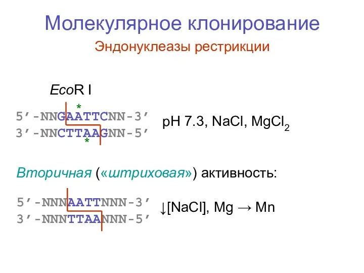 Молекулярное клонирование Эндонуклеазы рестрикции 5’-NNGAATTCNN-3’ 3’-NNCTTAAGNN-5’ EcoR I pH 7.3, NaCl,