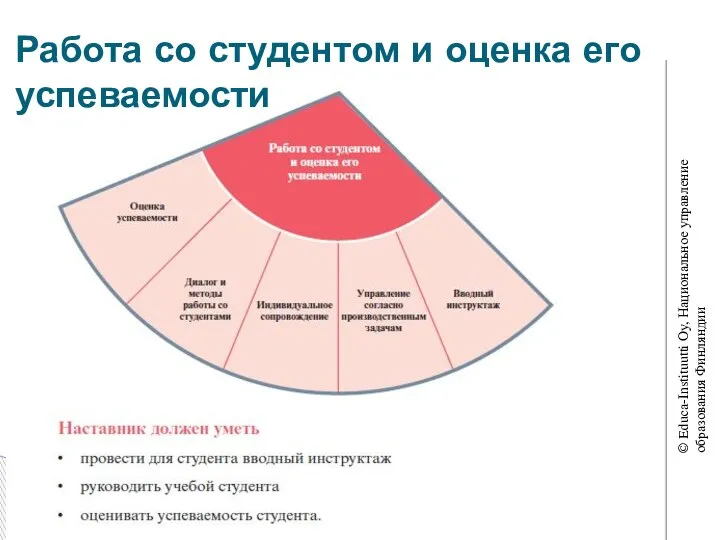 Работа со студентом и оценка его успеваемости © Educa-Instituutti Oy, Национальное управление образования Финляндии