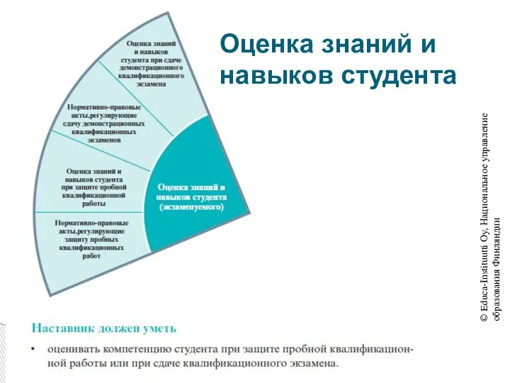 © Educa-Instituutti Oy, Национальное управление образования Финляндии Оценка знаний и навыков студента