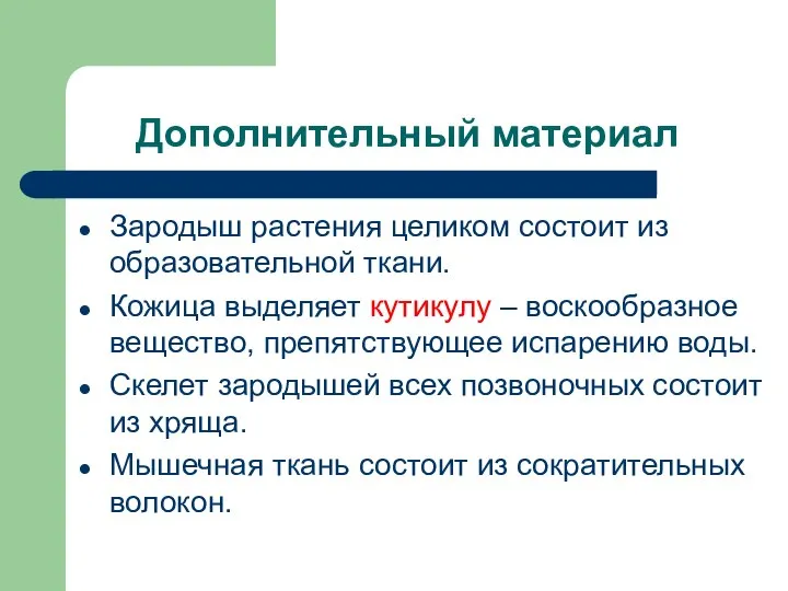 Дополнительный материал Зародыш растения целиком состоит из образовательной ткани. Кожица выделяет