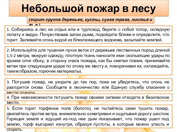 Небольшой пожар в лесу (горит группа деревьев, кусты, сухая трава, листья