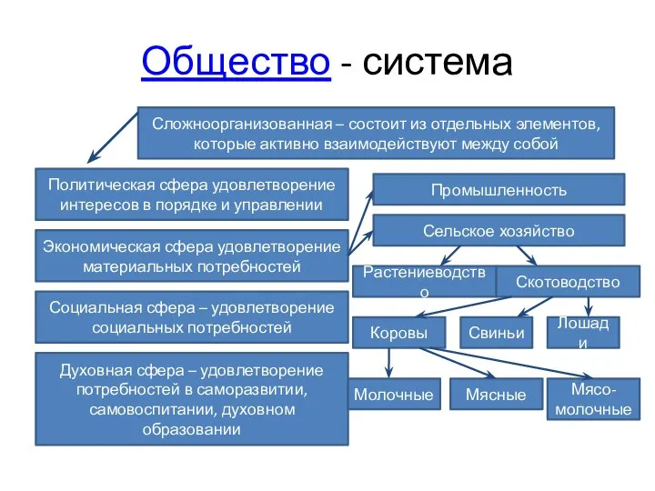 Общество - система