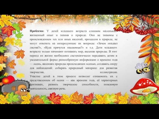 Проблема: У детей младшего возраста слишком маленький жизненный опыт и знания