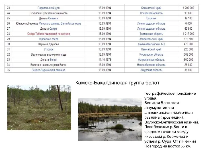 Камско-Бакалдинская группа болот Географическое положение угодья: Великая Волжская аккумулятивная аллювиальная низменная