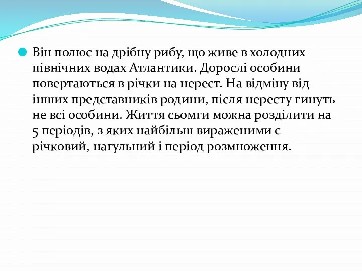 Він полює на дрібну рибу, що живе в холодних північних водах