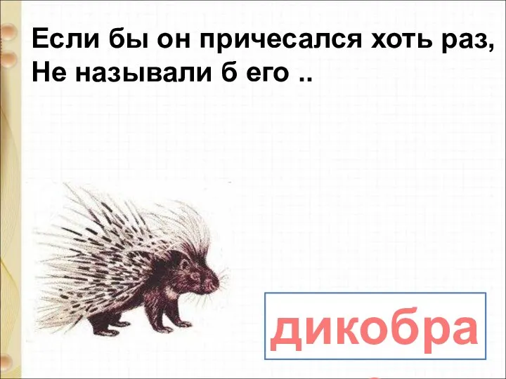 дикобраз Если бы он причесался хоть раз, Не называли б его ..