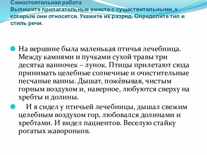 Самостоятельная работа Выпишите прилагательные вместе с существительными, к которым они относятся.