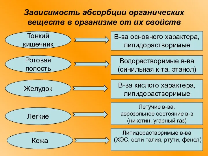 Зависимость абсорбции органических веществ в организме от их свойств Тонкий кишечник