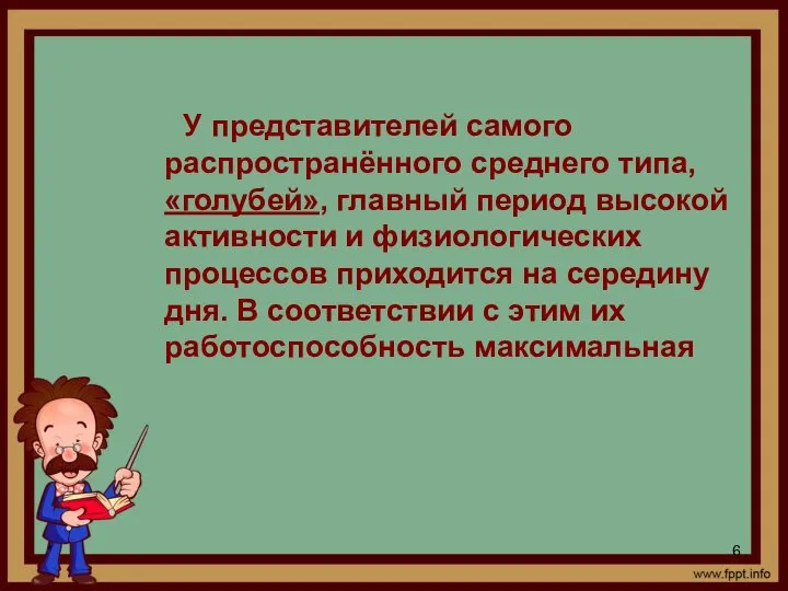 * У представителей самого распространённого среднего типа, «голубей», главный период высокой