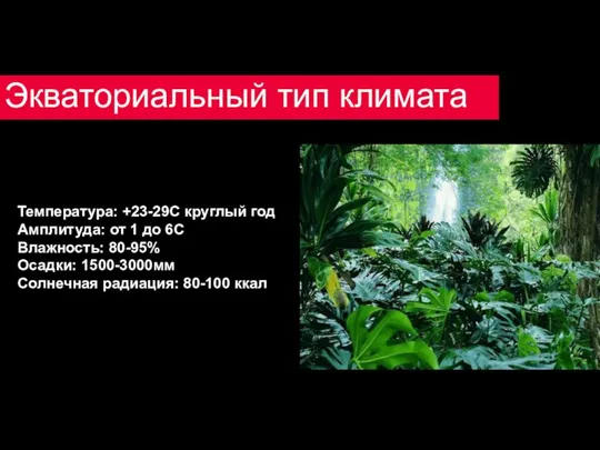 Экваториальный тип климата Температура: +23-29С круглый год Амплитуда: от 1 до