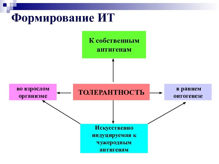 Искусственно индуцируемая к чужеродным антигенам ТОЛЕРАНТНОСТЬ во взрослом организме в раннем